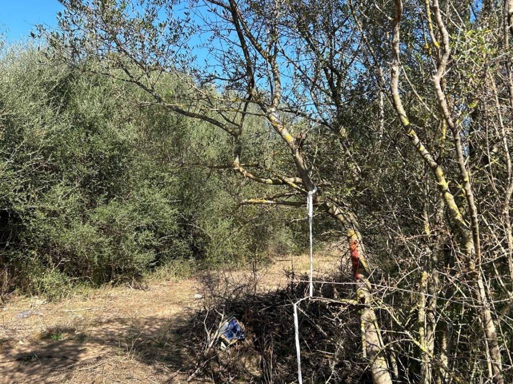 Terreno a Loiri porto san paolo in Via A. Vincentelli - Foto 4