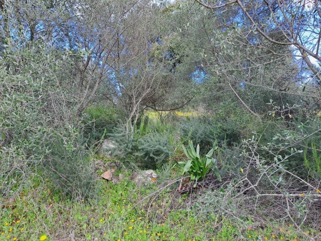 Terreno a Loiri porto san paolo in Via A. Vincentelli - Foto 5