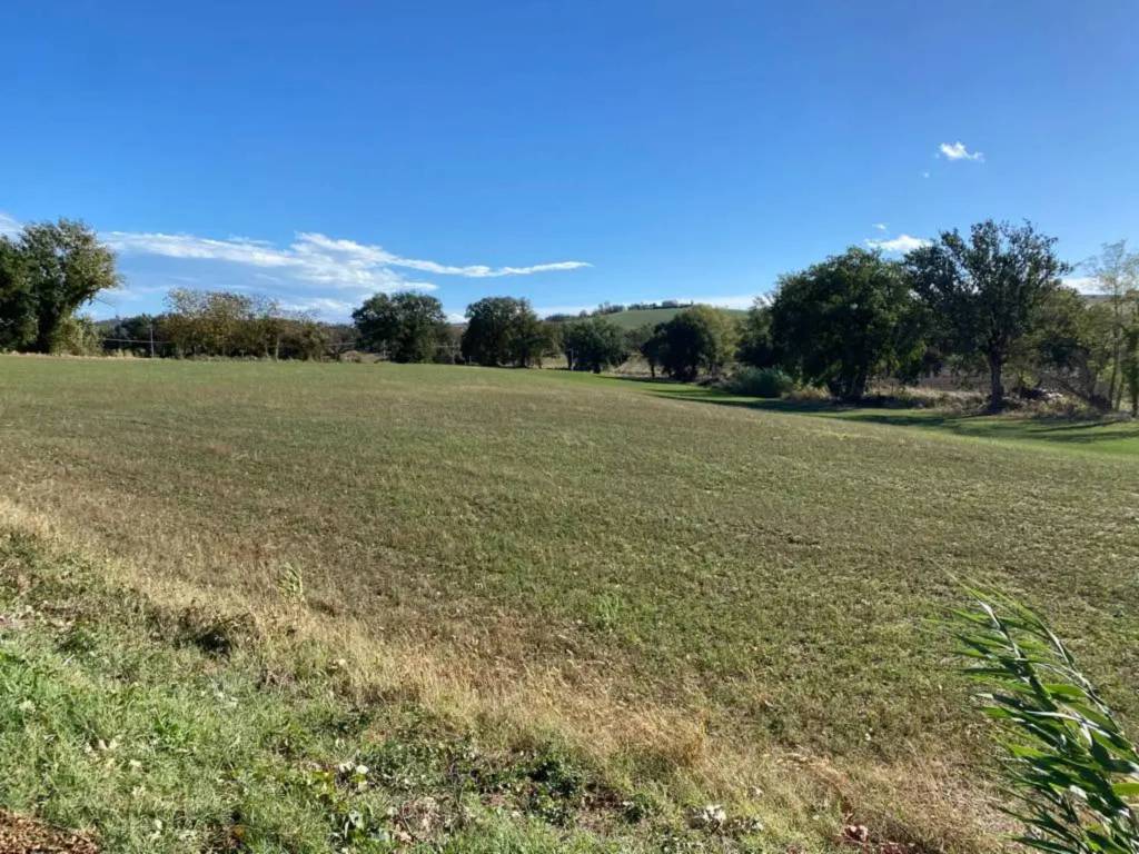 Terreno a Castelleone di suasa in Contrada Case Nuove - Foto 2