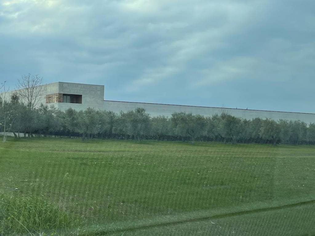 Immobile a Rosciano in VIA TADDEI - Foto 4