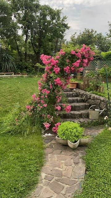 Villa a Duino-aurisina - Foto 2