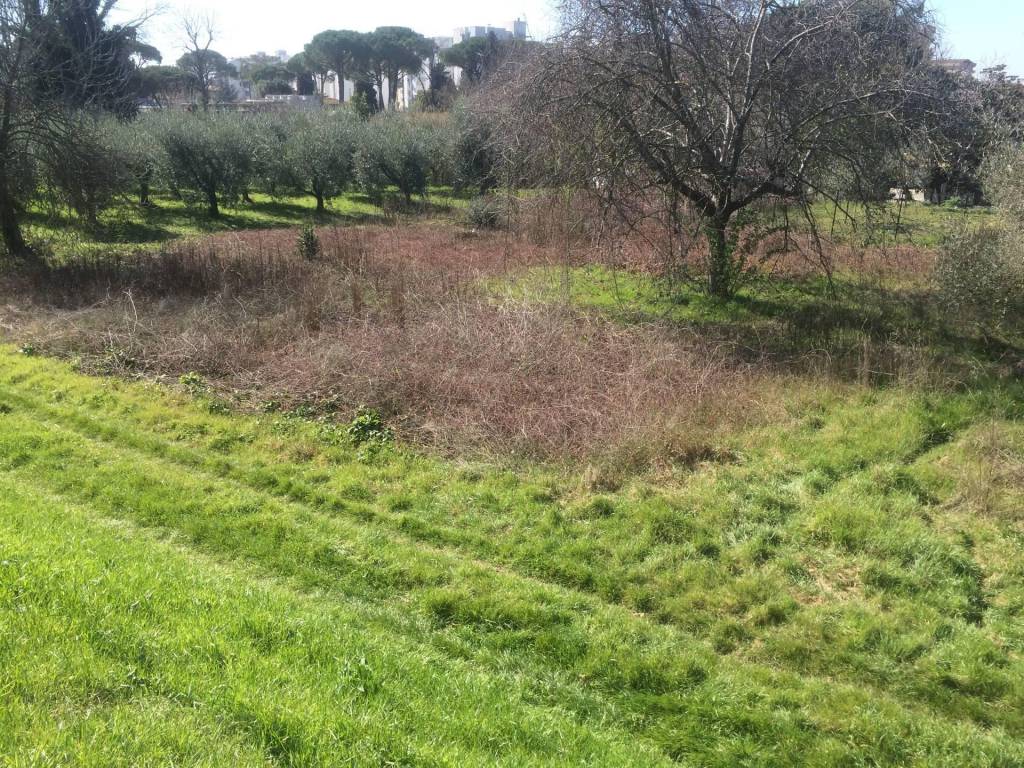 Terreno a San giuliano terme in golena - Foto 2