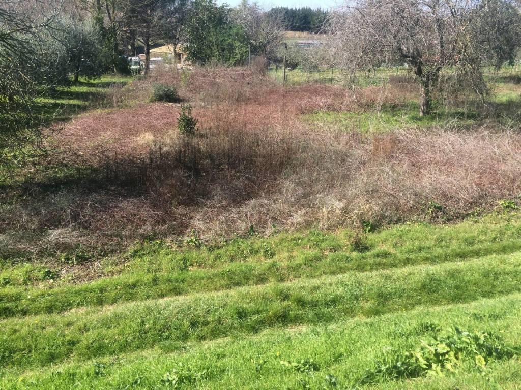 Terreno a San giuliano terme in golena - Foto 3