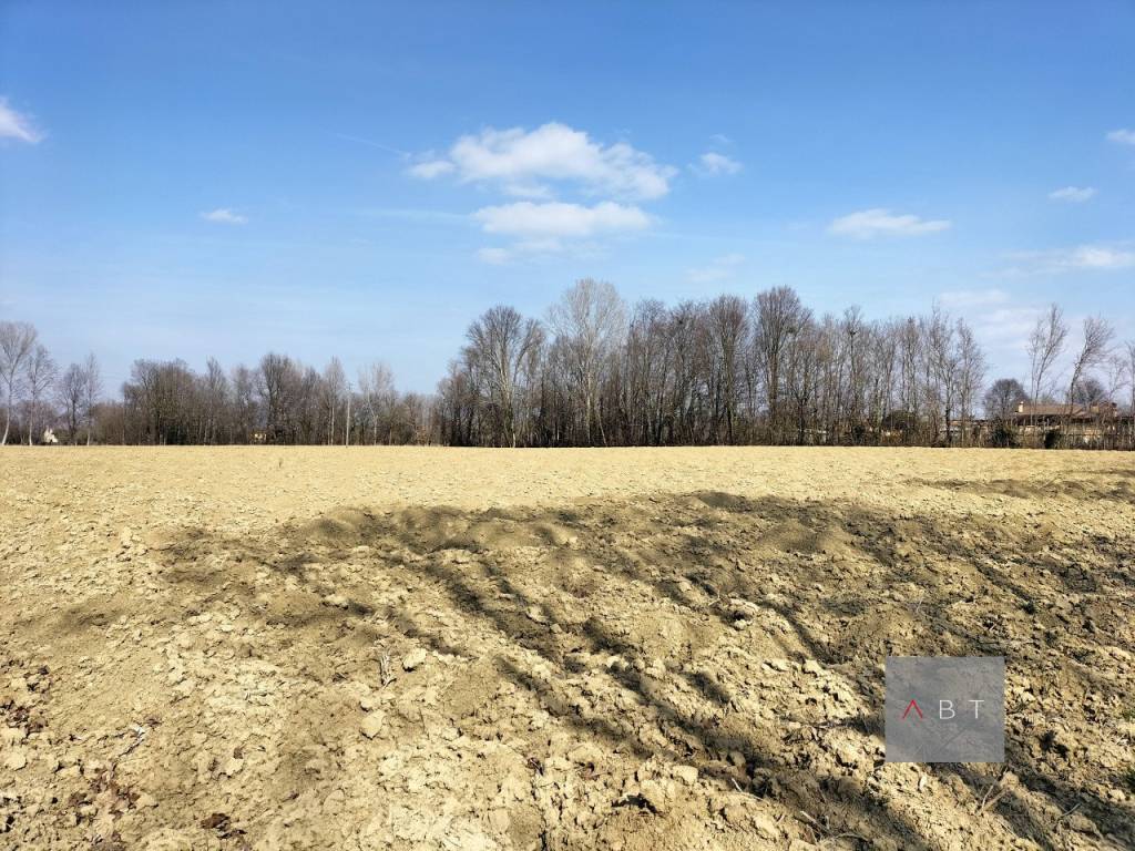 Terreno a Camposampiero - Foto 2