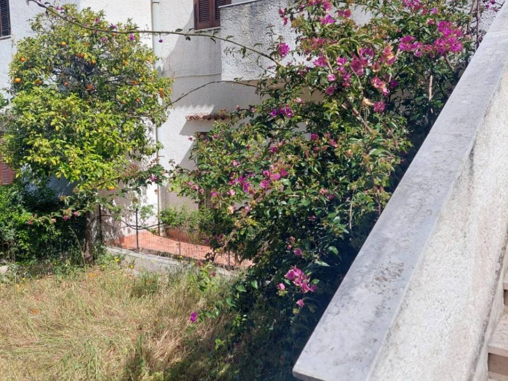 Appartamento a Rodi garganico in VIA DEI PINI - Foto 3