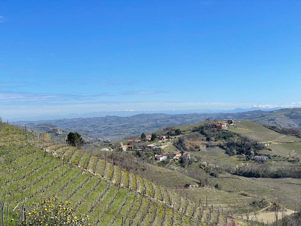 Terreno a Santo stefano belbo in Strada Bruciata - Foto 2