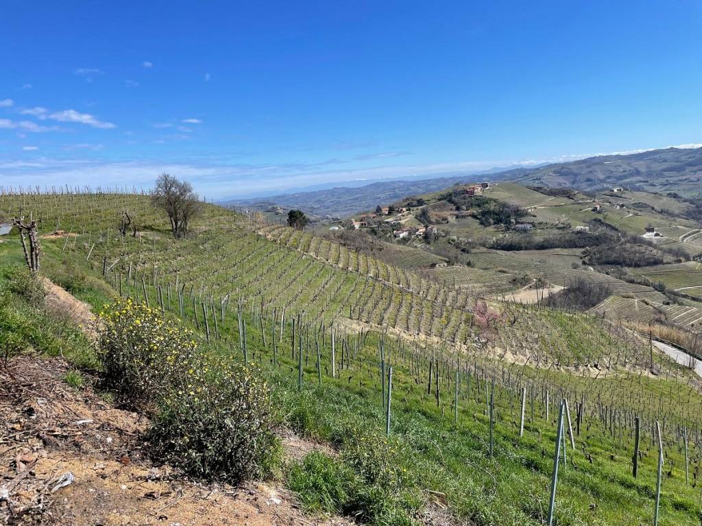 Terreno a Santo stefano belbo in Strada Bruciata - Foto 3