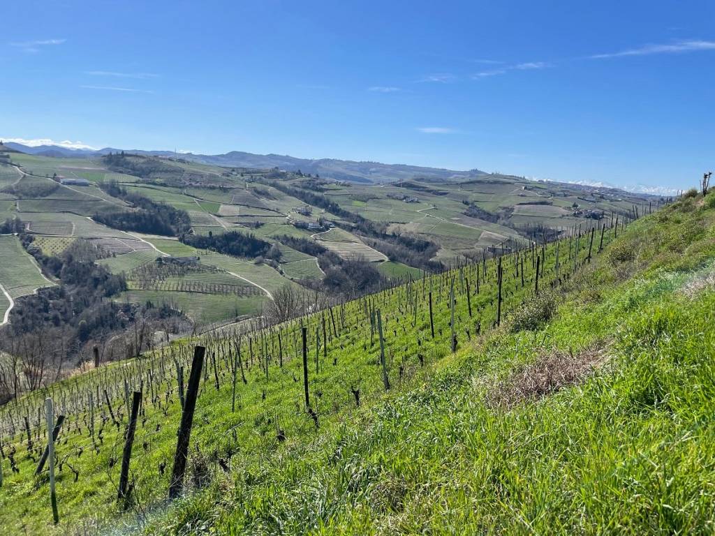 Terreno a Santo stefano belbo in Strada Bruciata - Foto 4