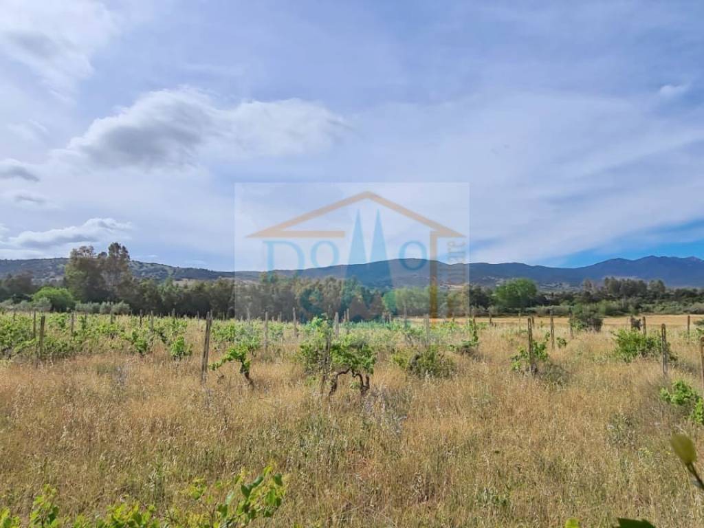 Villa a Siniscola - Foto 2