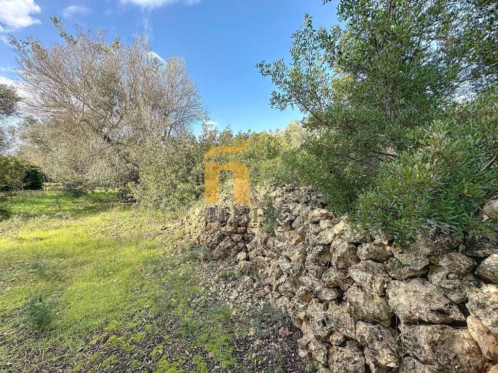 Terreno a Porto cesareo in Via Strada Chiusurella - Foto 3