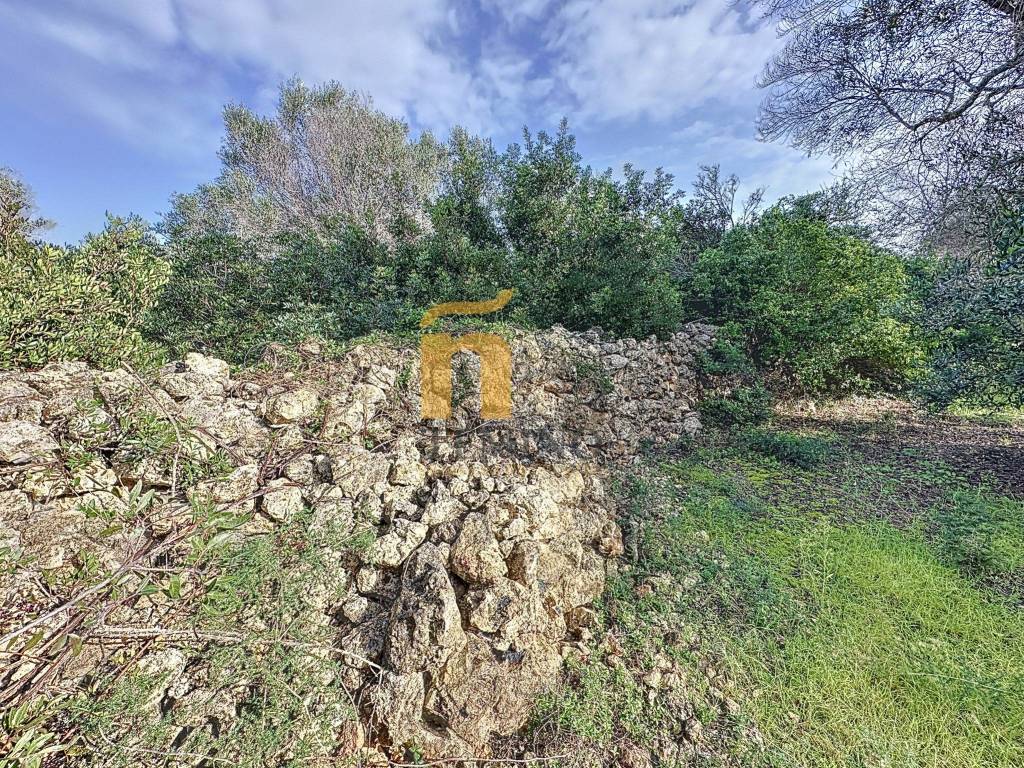 Terreno a Porto cesareo in Via Strada Chiusurella - Foto 4