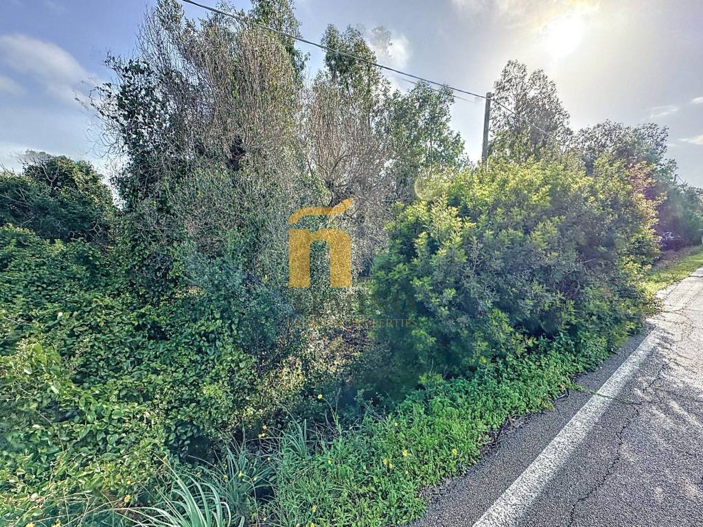 Terreno a Porto cesareo in Via Strada Chiusurella - Foto 5