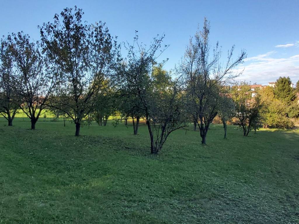 Rustico / casale a Viarigi - Foto 4