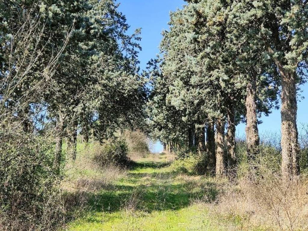 Rustico / casale a Amelia - Foto 3