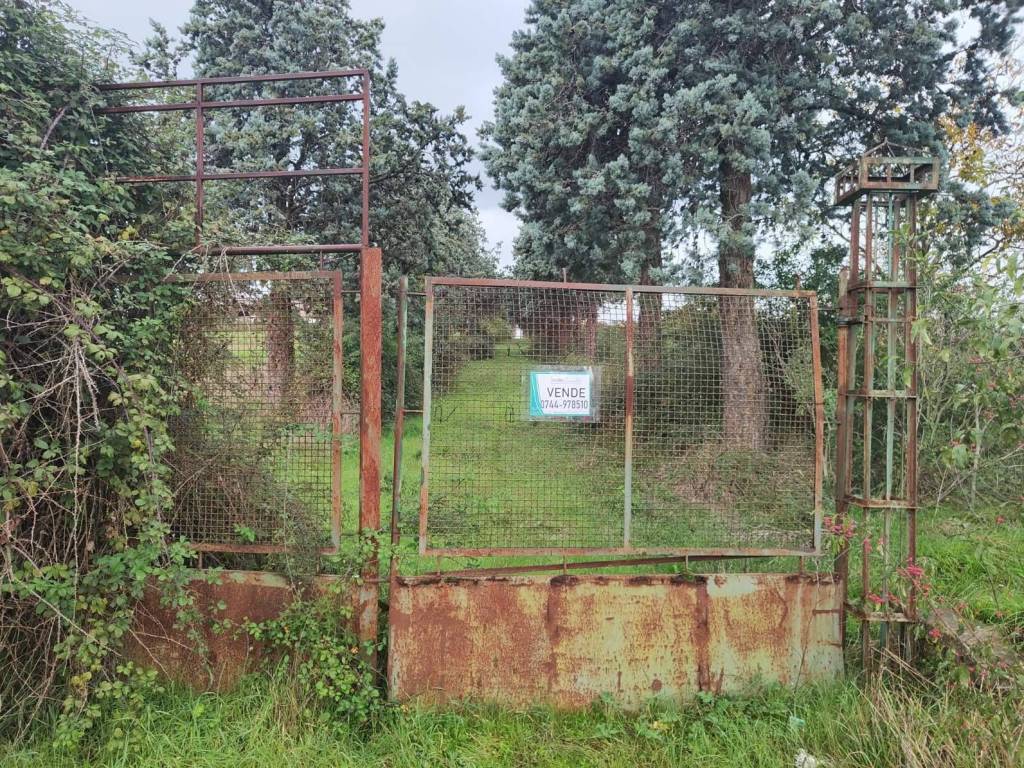 Rustico / casale a Amelia - Foto 4