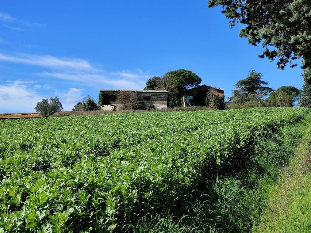 Rustico / casale a Amelia - Foto 5