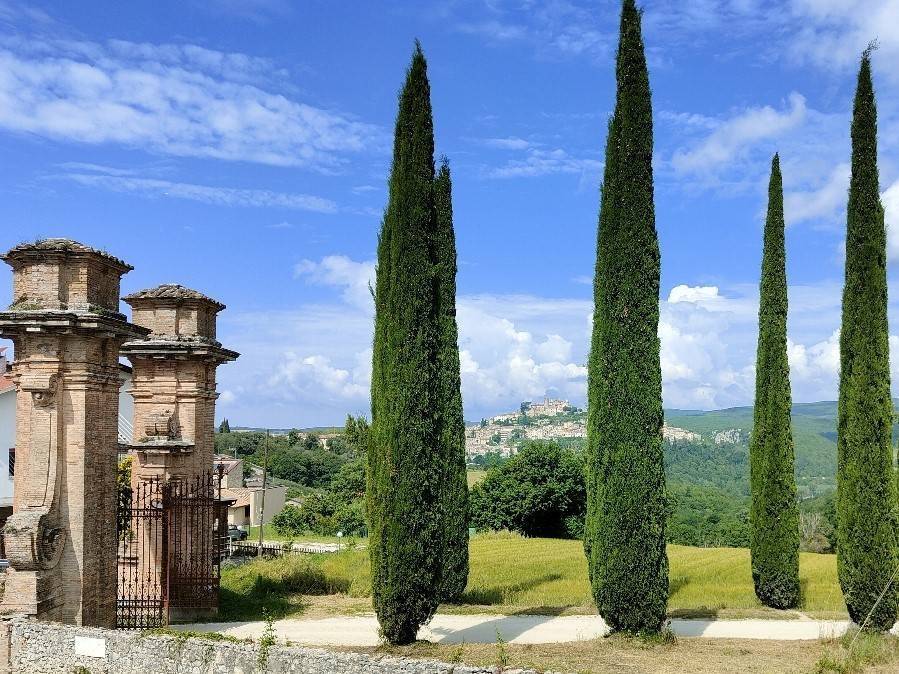 Immobile a Amelia - Foto 5