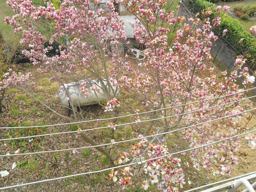 Rustico / casale a Berbenno di valtellina in Via Oriolo - Foto 2