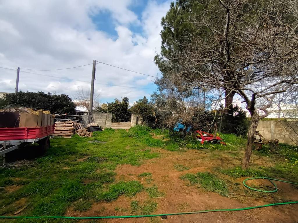 Terreno a Miggiano in Via Risorgimento - Foto 3