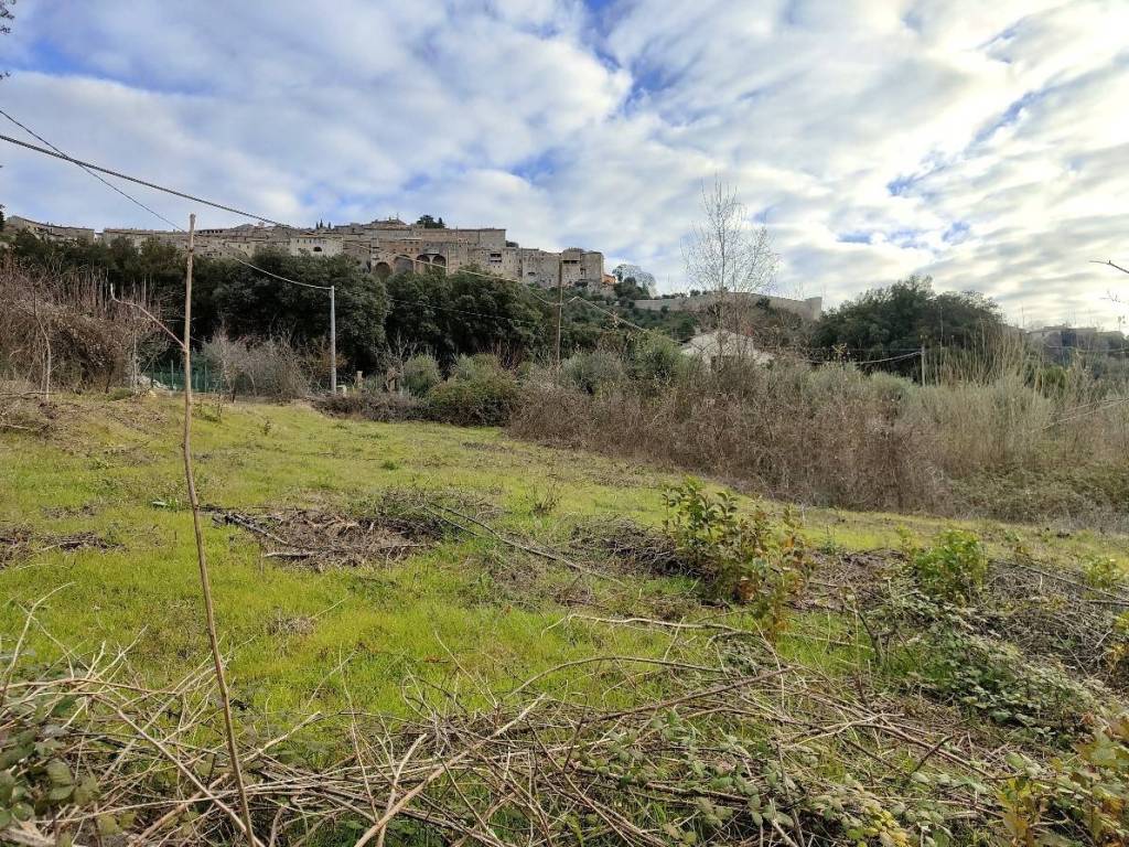 Terreno a Amelia in rimembranze, 22 - Foto 3