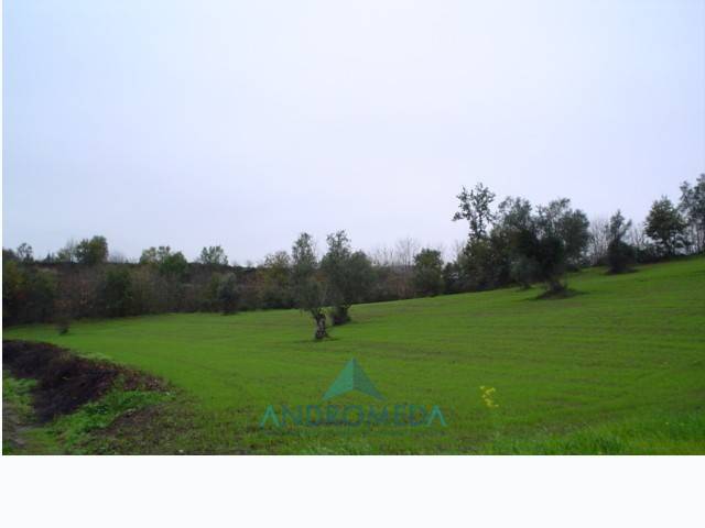 Terreno a Teano in Teano - Foto 2