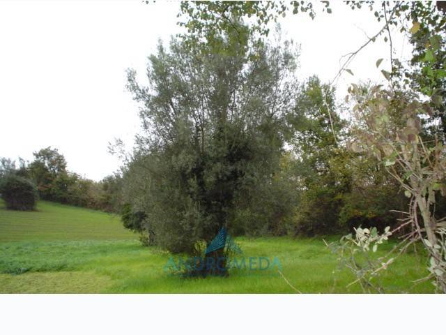 Terreno a Teano in Teano - Foto 4