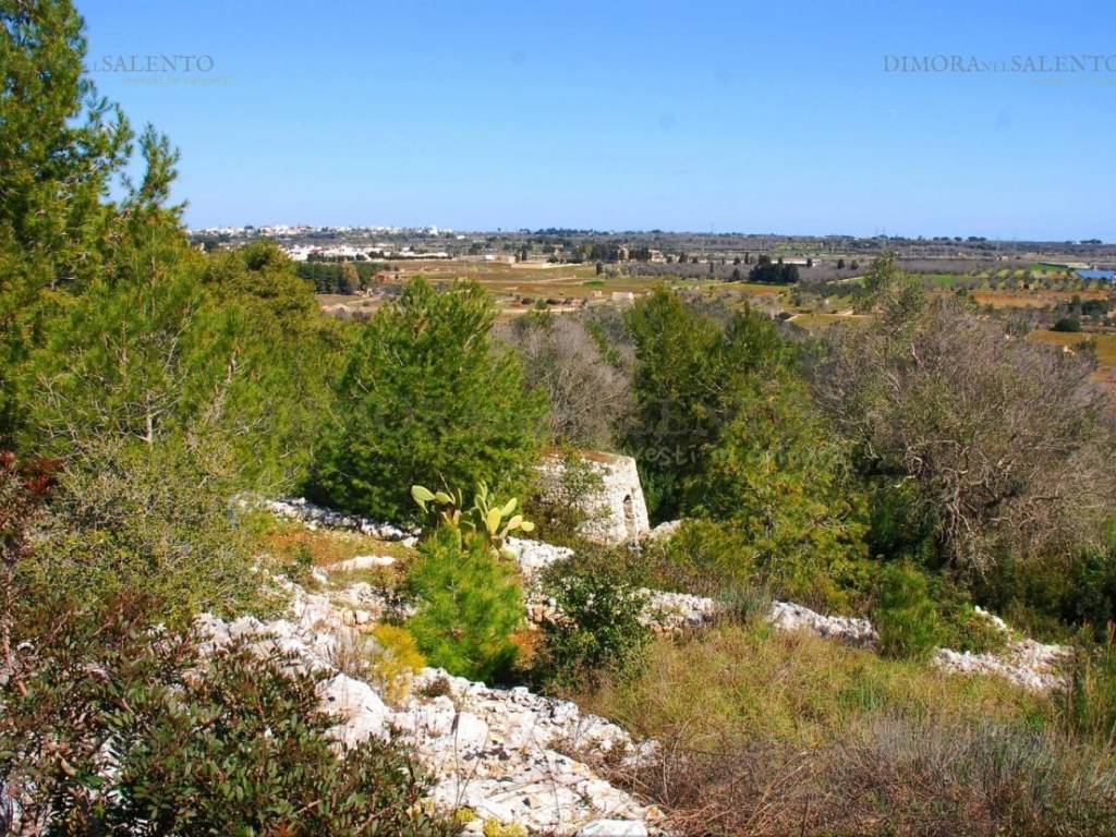 Terreno a Morciano di leuca in VIA LECCE - Foto 5