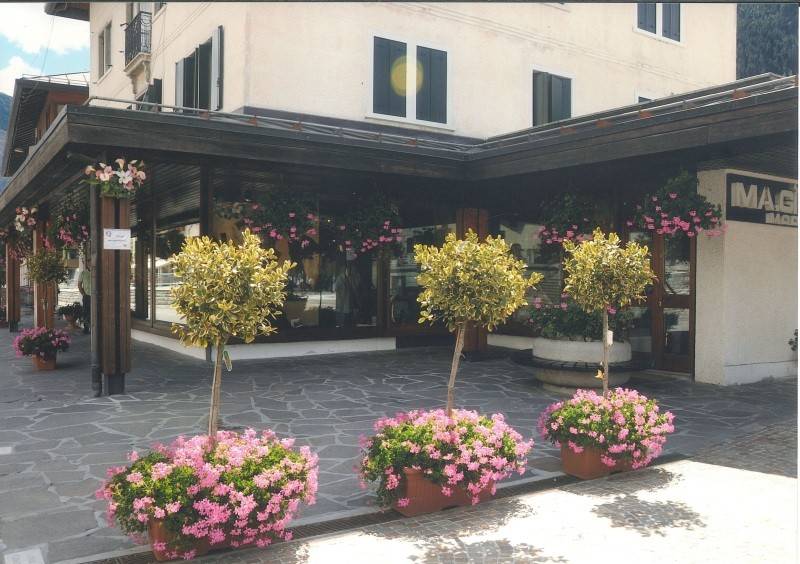 Immobile a Auronzo di cadore in Piazza S. Giustina - Foto 2