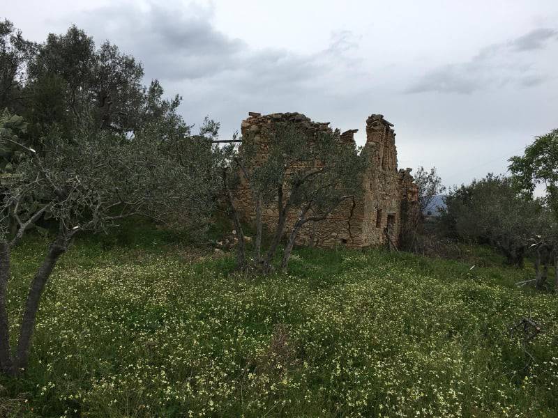 Terreno a Davoli - Foto 2