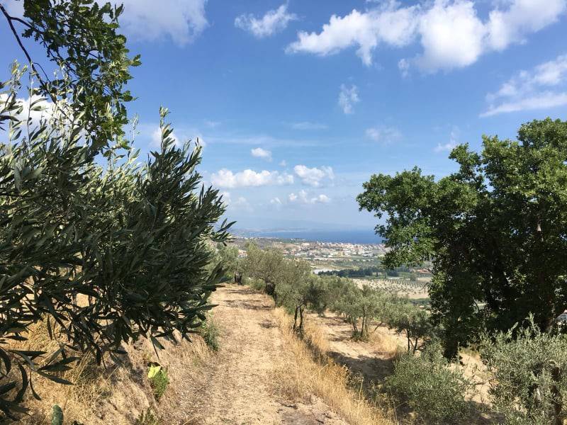 Terreno a Davoli - Foto 3