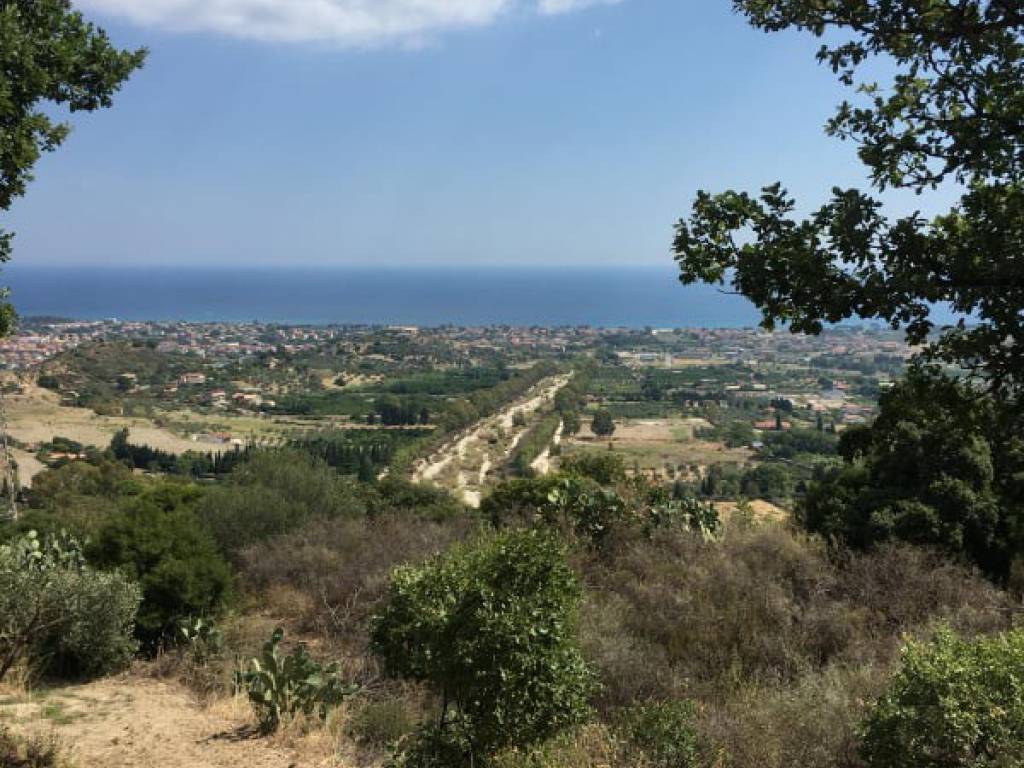 Terreno a Davoli - Foto 4