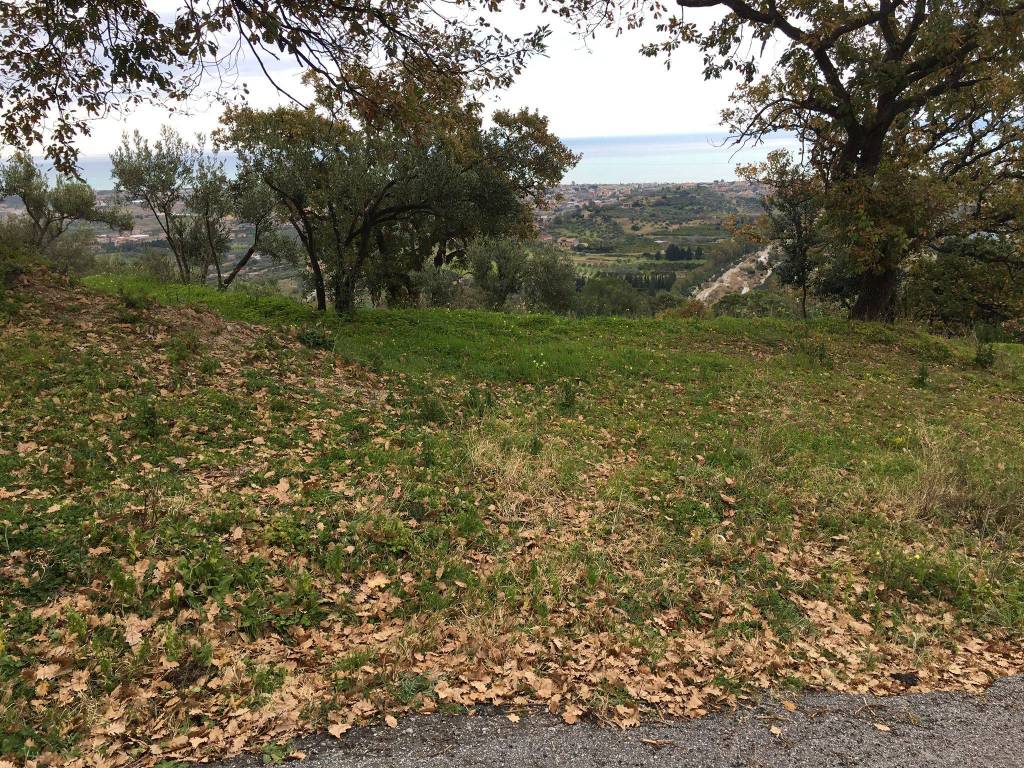 Terreno a Davoli - Foto 5