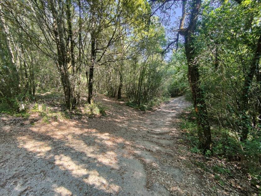 Terreno a Amelia in rimembranze, 22 - Foto 2