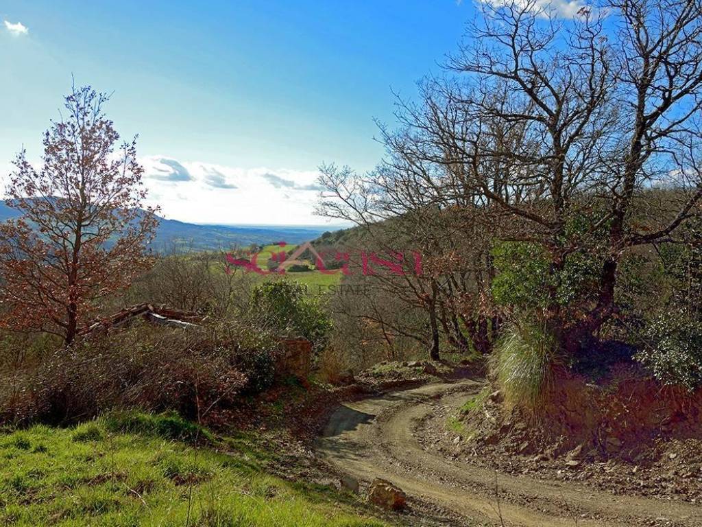 Rustico / casale a Roccalbegna in Cana - Roccalbegna - Foto 3