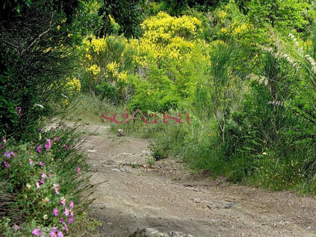 Rustico / casale a Roccalbegna in Cana - Roccalbegna - Foto 5
