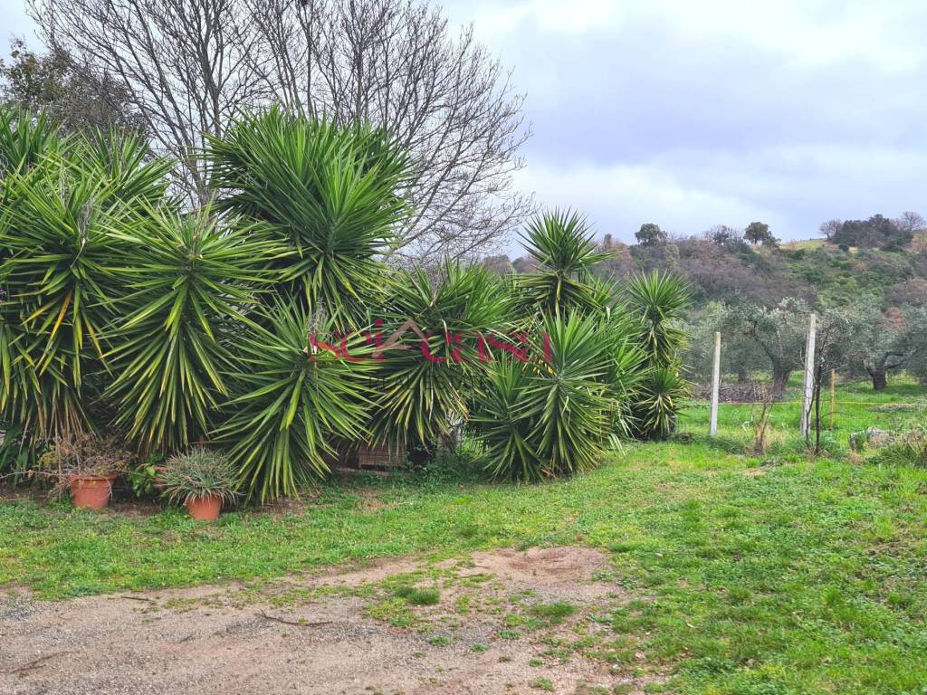 Rustico / casale a Roccastrada in Ribolla - Foto 4