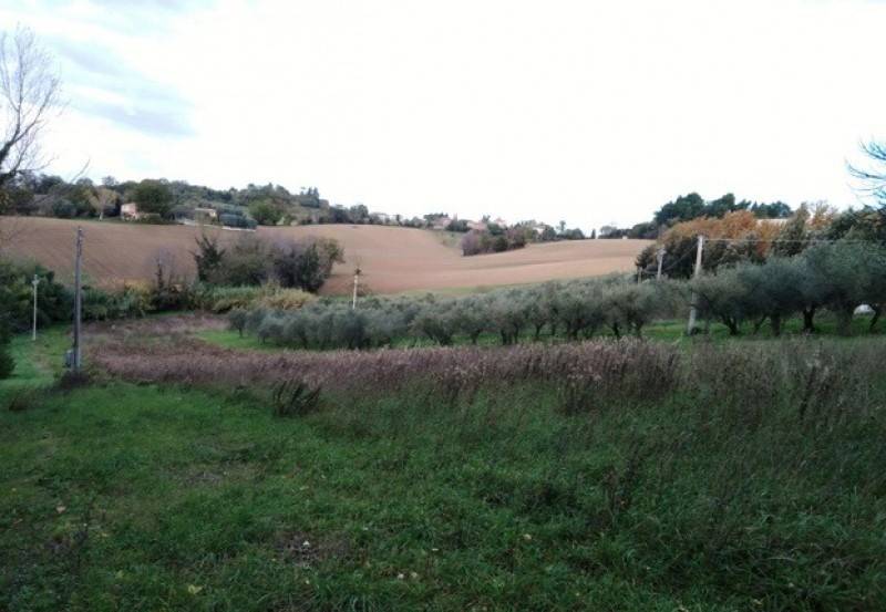 Terreno a Jesi in Via Santa Lucia, 10 - Foto 2