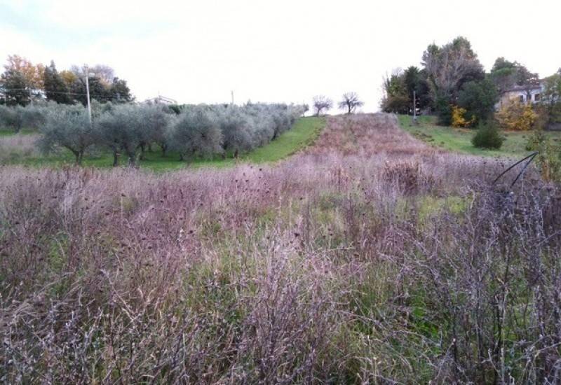 Terreno a Jesi in Via Santa Lucia, 10 - Foto 3