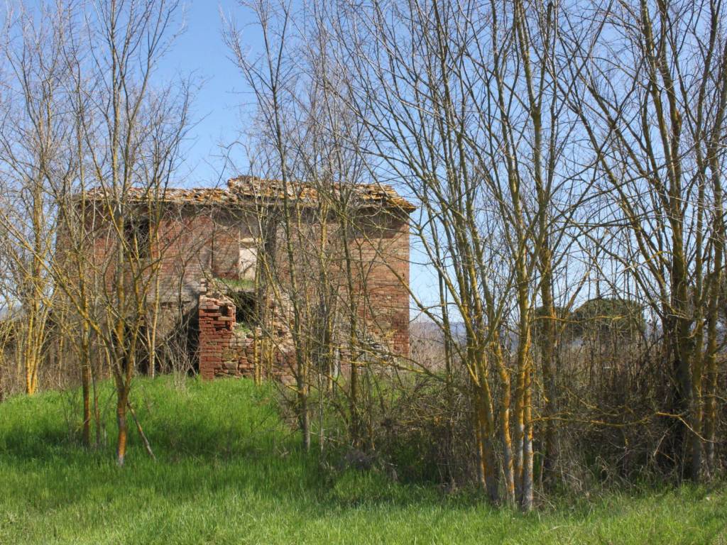 Rustico / casale a Cortona in Case Sparse Pietraia - Foto 4