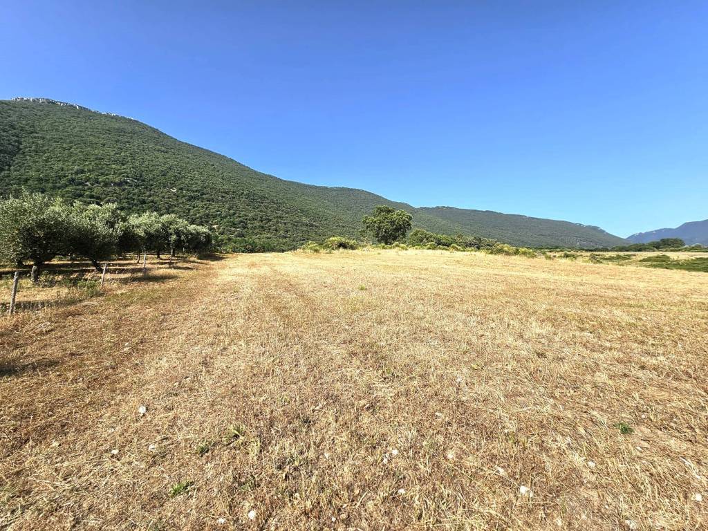 Terreno a Capaccio paestum in Via Nocito - Foto 2