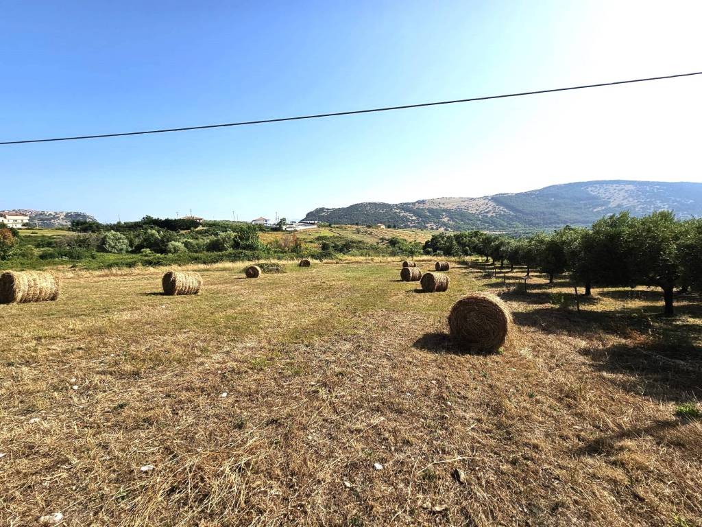 Terreno a Capaccio paestum in Via Nocito - Foto 5