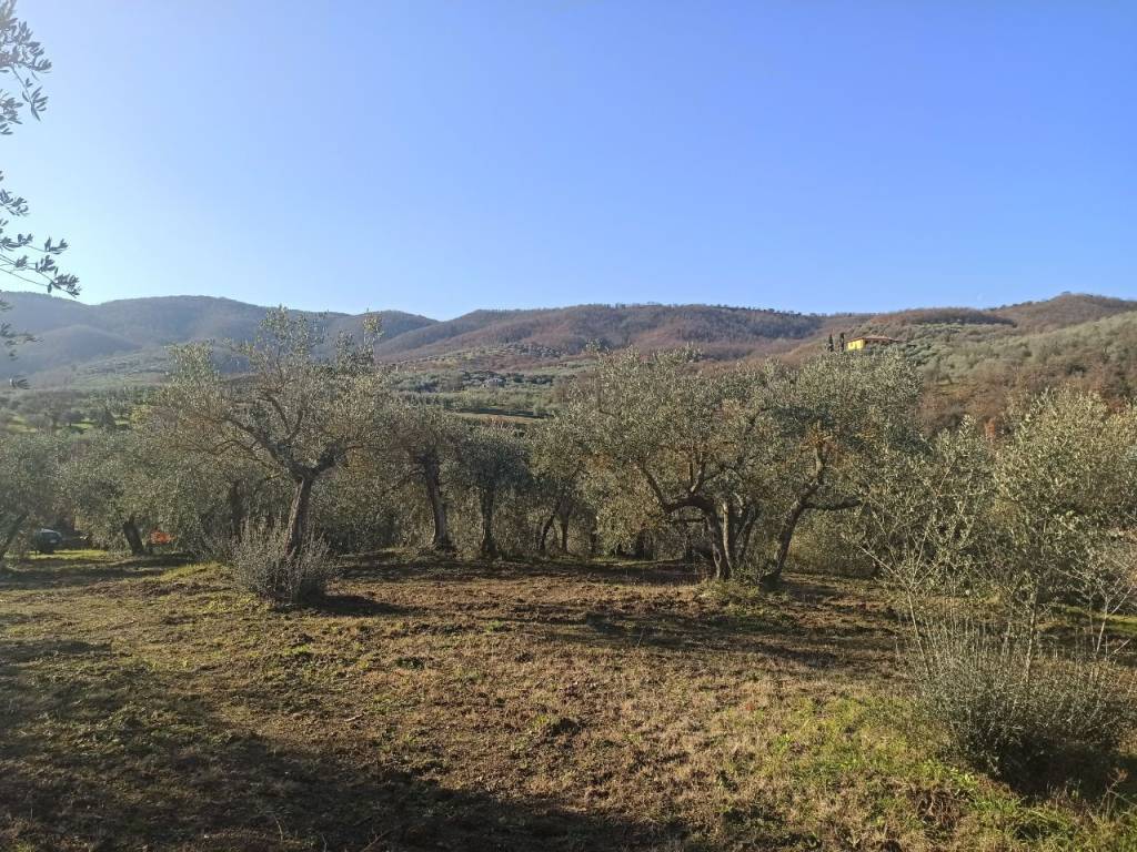 Terreno a Piegaro in Frazione - Foto 4