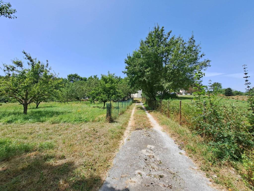 Rustico / casale a Cantalupo nel sannio in Strada Provinciale Volturno Pentrica - Foto 4