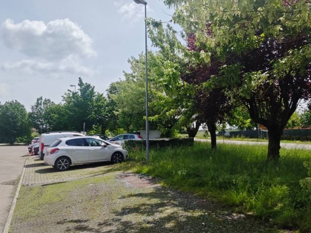 Immobile a Novi di modena - Foto 5