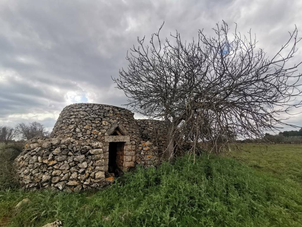 Terreno a Galatone in Strada Vicinale Arini - Foto 4
