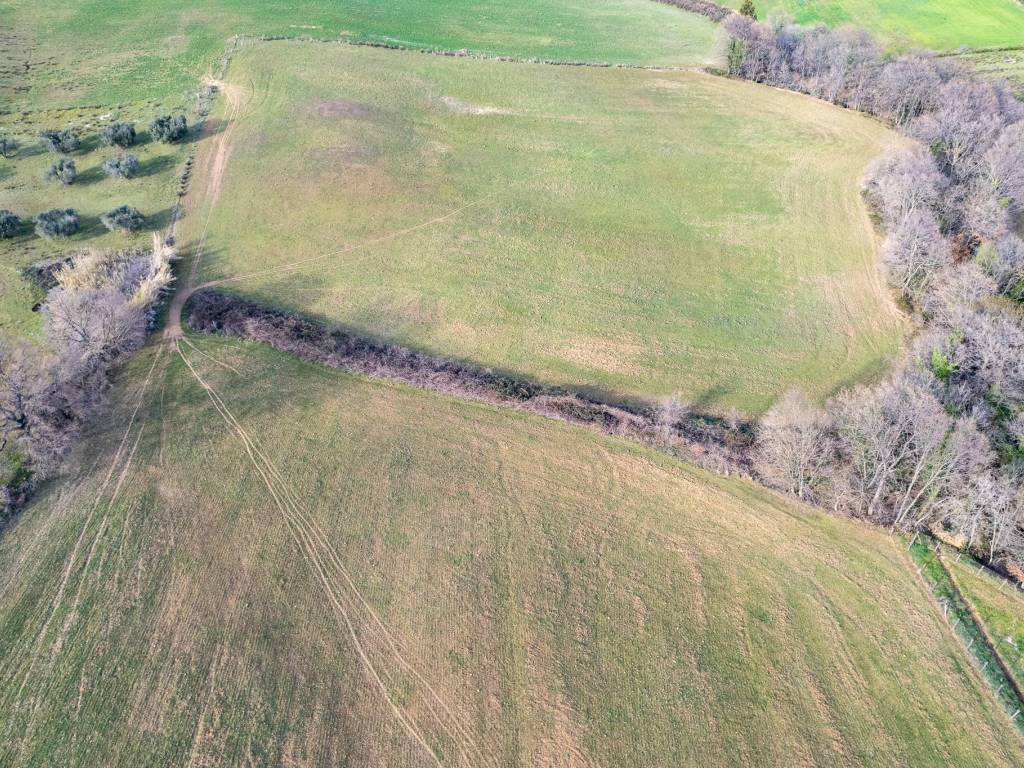 Terreno a Montalto di castro in Località Cacciata Grande - Foto 4