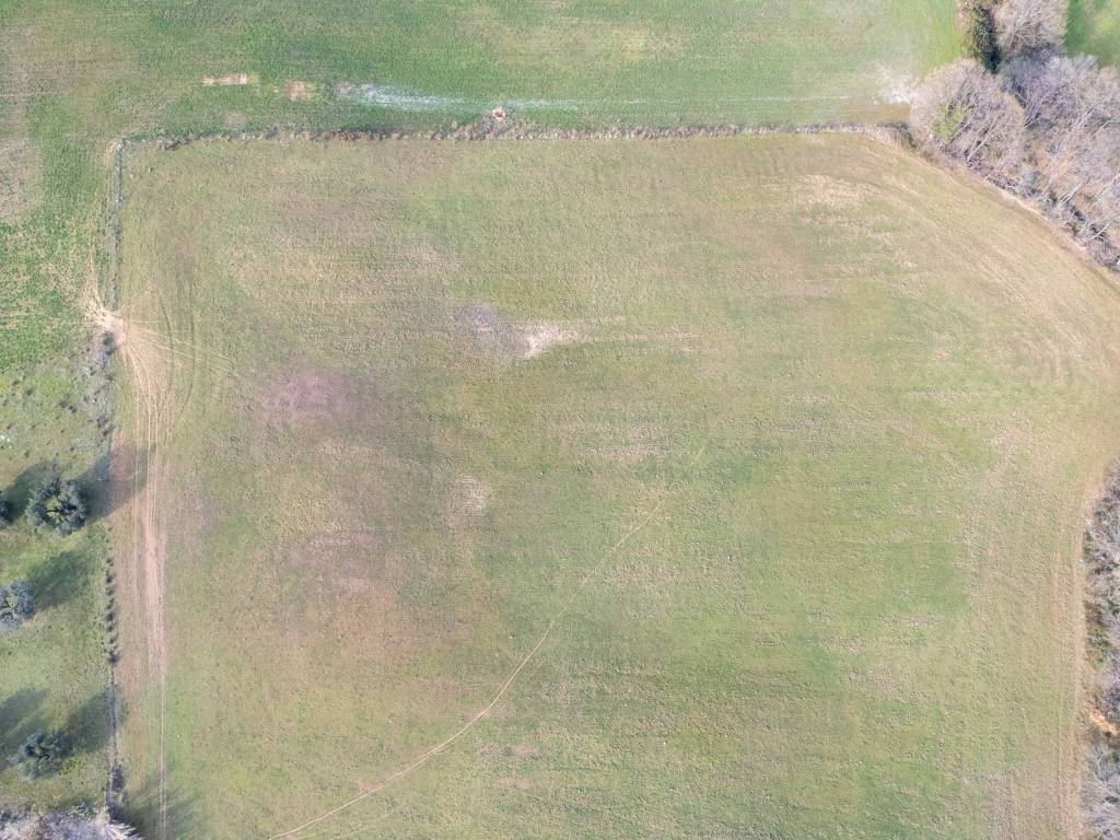 Terreno a Montalto di castro in Località Cacciata Grande - Foto 5