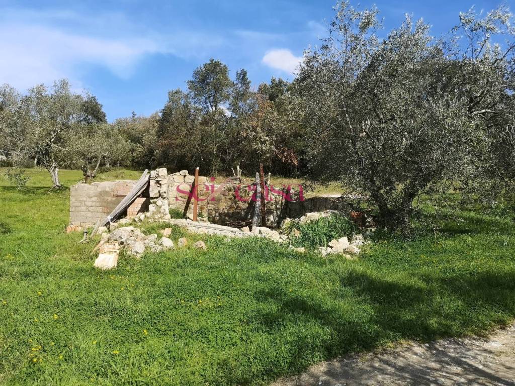 Rustico / casale a Roccastrada in Roccastrada - Foto 4