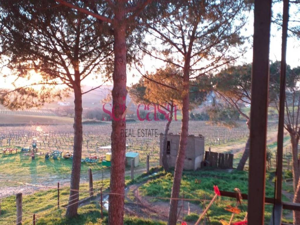 Immobile a Magliano in toscana in Montiano - Foto 4