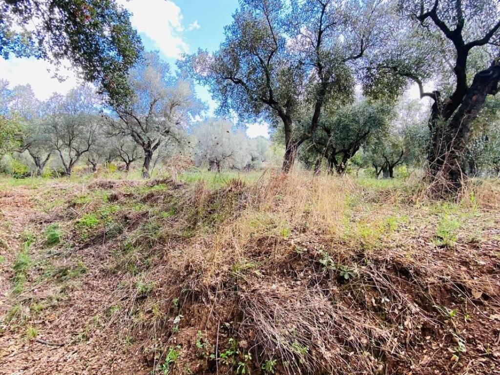 Terreno a Lamezia terme in Via per Piano Luppi - Foto 2
